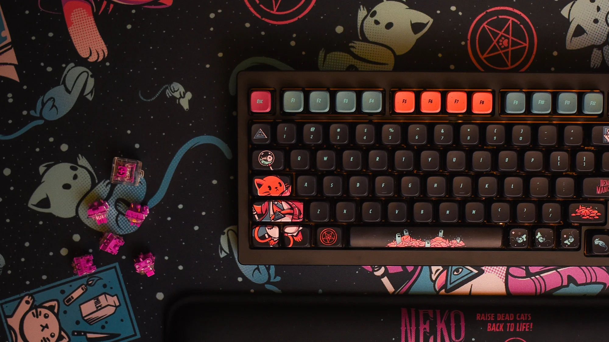 Elevate Your Typing Experience